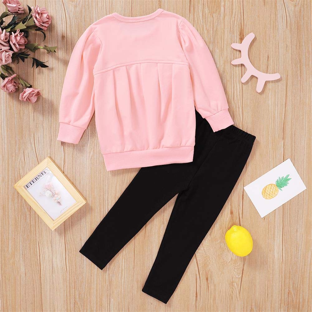 Ritatte Toddler Girls Clothes Winter Warm Long Sleeve Tops Long Pants Suit Kids Soft Cotton Fall Outfits 2Pcs Set