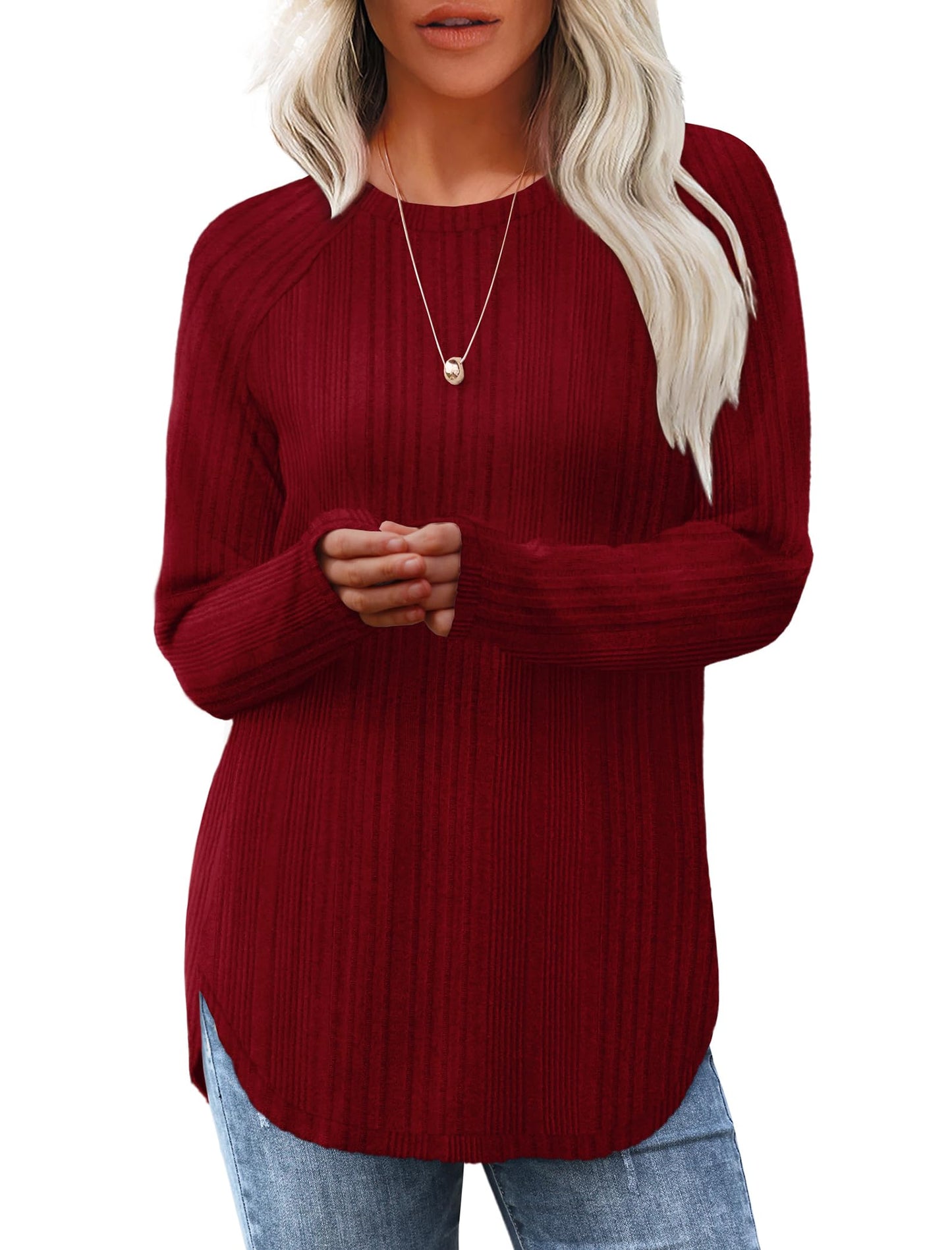 Saloogoe Long Sleeve Shirts for Women Tunic Tops for Women Loose Fit Dressy Crew Neck Pullover Basic Sweaters for Women 2024