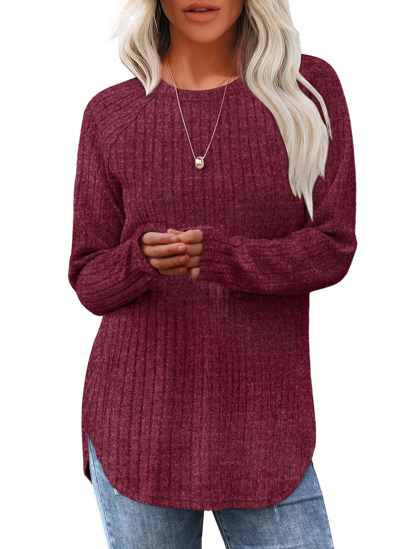 Saloogoe Long Sleeve Shirts for Women Tunic Tops for Women Loose Fit Dressy Crew Neck Pullover Basic Sweaters for Women 2024